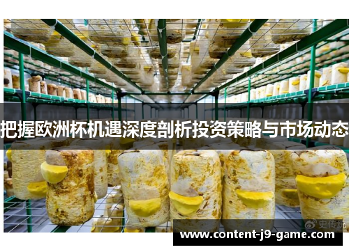 把握欧洲杯机遇深度剖析投资策略与市场动态